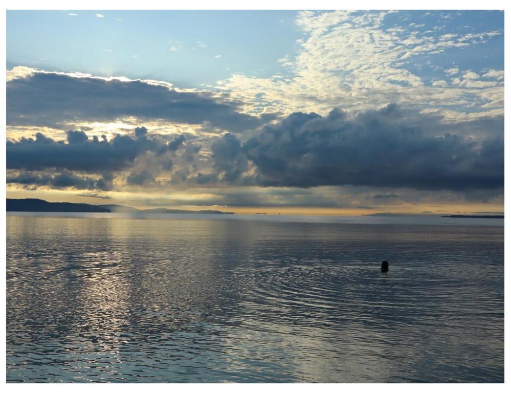 Terrazas Del Golfo Otel La Palma Dış mekan fotoğraf